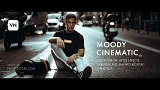 Professional Moody Cinematic LUT for VN | Premier Pro | DaVinci Resolve | Download Free