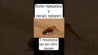 #web