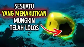 Bola Emas Aneh Ditemukan di Lautan — Apakah Itu?