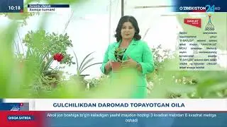 🪴Руслан Мирзаев 15 сотихли иссиқҳонада 30 ҳилдан ортиқ гуллар турини етиштириб, 150 млн сўм даромад