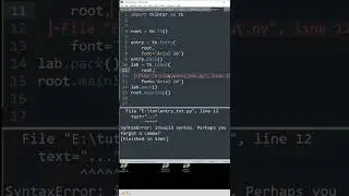 How to create an Entry input field with Python and tkinter