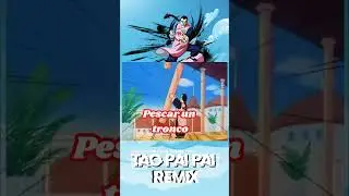 Tao Pai Pai (REMIX): @corxeapudu #chile #corxea #taopaipai