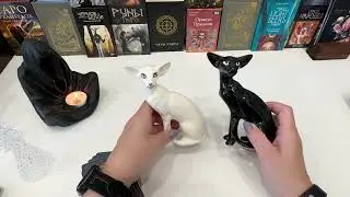 🤦🏻‍♀️🧟ЧТО В ДОМЕ ВРАГА⁉️СТРАШНО 🤷🏻‍♀️🧟😅