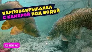 КАК КЛЮЁТ КАРП? Рыбалка с подводной камерой! Под водой #3