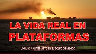 La vida real en Plataformas | Documental