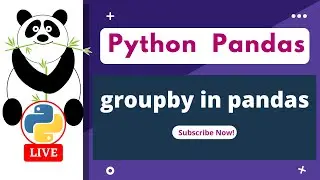 Group by in pand |  data science | python libraries | data analysis #learning #python