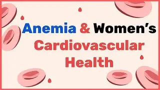 Basics of Anemia & Why it's More Common in Women | Dr. Curnew MD