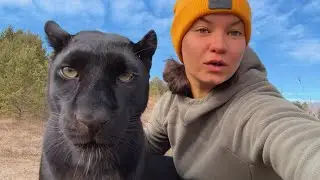 Forest walking with Luna the panther & Co 😸🐾(ENG SUB)