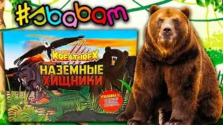 СОБРАЛИ ВСЕХ Хищников  / НАЗЕМНЫЕ ХИЩНИКИ от СБАБАМ