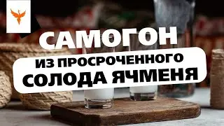 сДЖ 19: Самогон из просроченного солода ячменя на кодзи. Что получилось в итоге?