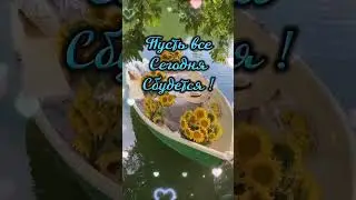 Доброе утро !🌻💛Хорошего осеннего дня !🙂👍1.09.23г.#доброеутро #пожелания #открытки #осень