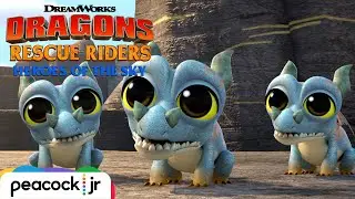 Help! Baby Dragons Wreak Havoc | DRAGONS RESCUE RIDERS: HEROES OF THE SKY