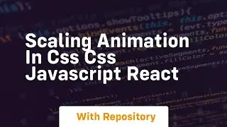 scaling animation in css css javascript react