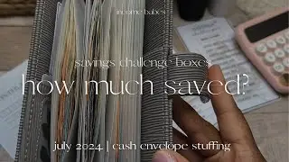 Detailed Sinking Funds Update + Savings Challenge Boxes | How Much Did I Save? Cash Envelope Method