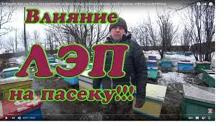 ВЛИЯНИЕ ЛЭП НА ПЧЁЛ, ОБЪЕДИНЕНИЕ БЕЗМАТОЧНЫХ, ОПОНАШИВАНИЕ, ОБЛЁТ МАТОК, ОТВЕТЫ НА ВОПРОСЫ