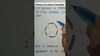Diffusion dissolution controlled drug delivery system