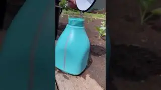 Подкормка для капусты 🥬