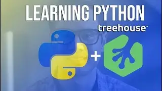 Learning Python when I'm not motivated - Discipline