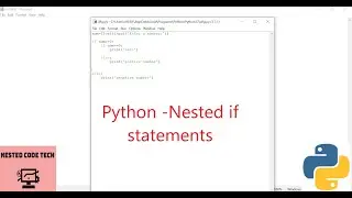 Python- Nested if statement Example