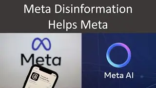 Meta Disinformation Helps Meta