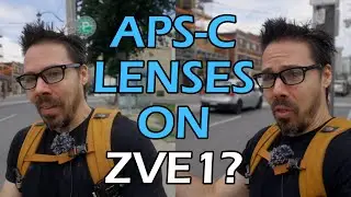 Pros & Cons of APS-C Lenses On Sony ZVE1