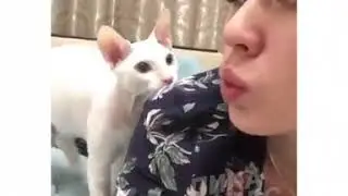 ХАХ! ХВАТИТ КРИВЛЯТЬСЯ!