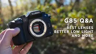 Answering Your G85 Questions - Low Light Tips, Best G85 Lenses, and more!