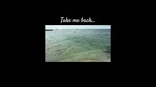 Take me back… #fyp #travel #cebu  #foryou #tambuli #cebuana #lifesacharm #travelvlog