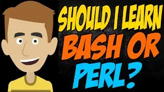 Should I Learn Bash or Perl?