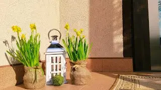 Весна☀️🏠🌲 Приятный Домашний Влог. Уход за рассадой. Выпечка 