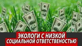 ЭКОЛОГИ С НИЗКОЙ СОЦИАЛЬНОЙ ОТВЕТСТВЕННОСТЬЮ | Журналистские расследования Евгения Михайлова