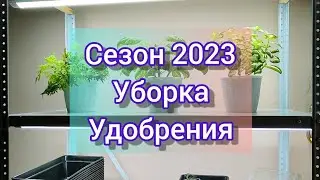 🌱Открываю посевной сезон 2023//расхламляю стеллаж🌱