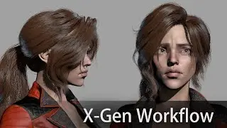 Xgen Hair 14 Material and Interactive Grooming