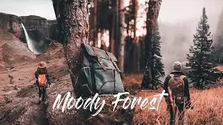 How To Edit Moody Forest Free DNG Presets ||lightroom editing