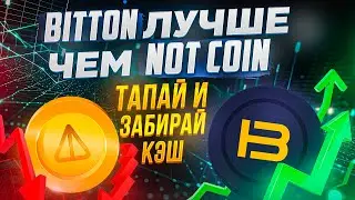 BITTON ЛУЧШЕ ЧЕМ NOT COIN / ТАПАЙ И ЗАБИРАЙ КЭШ