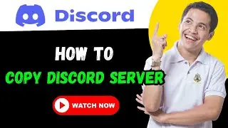 How to copy Discord Server?