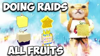 Doing Raids and leveling (Blox Fruits)