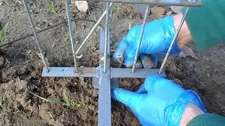 Как поймать крота. Кротоловка. Как избавиться от кротов.Кроты на участке. Кротобой. Видео № 3.