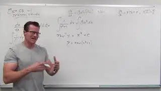 Separable Equations with Initial Values (Differential Equations 13)