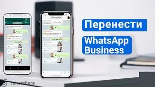 Как перенести чаты WhatsApp Business  с Android на iPhone Обратно!