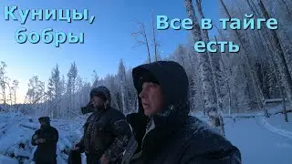 Сказ о том как в зимовье ездили/03.12.23г.
