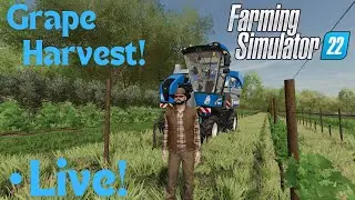 Grapes Olives And Poplar Harvest! Let's GO! Farming Simulator 22 FS22