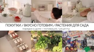 НАХОДКИ ФИКС ПРАЙС / ВКУСНО ГОТОВИМ / НОВЫЕ РАСТЕНИЯ ДЛЯ САДА / ДОМАШНИЕ ДЕЛА