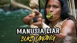 IPul Manusia Liar Melihat Gajah liar di Hutan Aceh