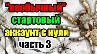 Необычный стартовый аккаунт с нуля! Raid Shadow Legends