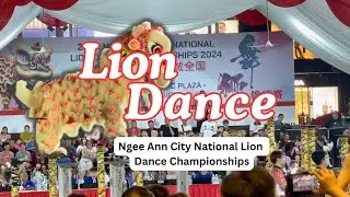 Lion Dance | Ngee Ann City National Lion Dance Championships Singapore