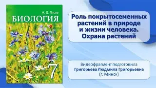 Тема 42. Роль покрытосеменных растений в природе и жизни человека. Охрана растений