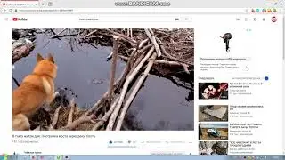 КАНАЛ  Таёжная тропа
