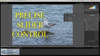 Gain PRECISE CONTROL Over Lightroom Sliders