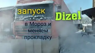 Как  запускается Дизель в мороз  и замена прокладки картера Даф 95